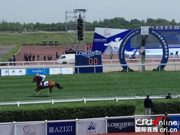 图片默认标题_fororder_参赛赛马亮相（摄影-郭吉）