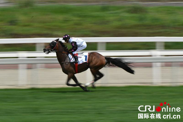 图片默认标题_fororder_驰骋的赛马（摄影-梁家桢）