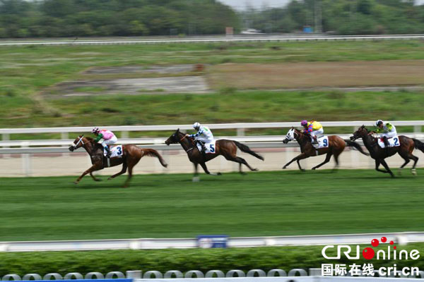 图片默认标题_fororder_驰骋的赛马（摄影-梁家桢）1