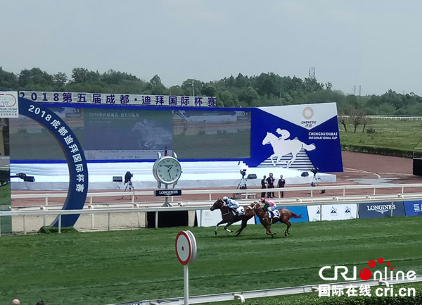 图片默认标题_fororder_赛马即将冲过终点（摄影-郭吉）1