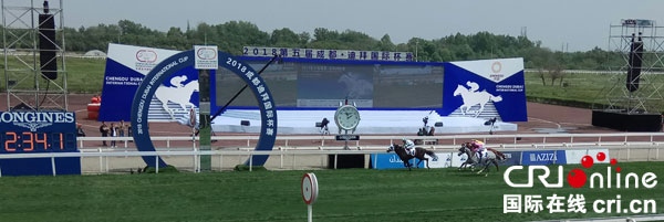图片默认标题_fororder_赛马即将冲过终点（摄影-郭吉）