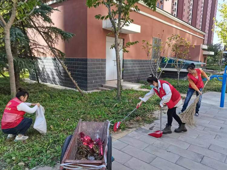 保定莲池区:整治人居环境 扮靓魅力莲池_fororder_微信图片_20231101104729