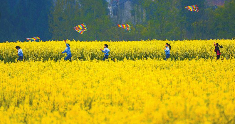 （焦点图，导航成都，移动端轮播图）花开巴蜀 春满天府(组图)