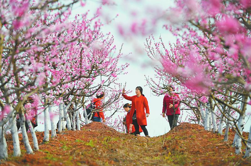 （焦点图，导航成都，移动端轮播图）花开巴蜀 春满天府(组图)