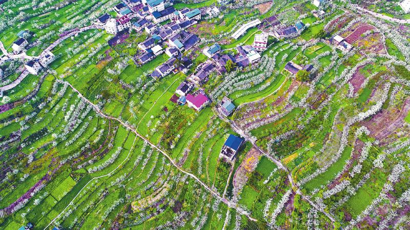 （焦点图，导航成都，移动端轮播图）花开巴蜀 春满天府(组图)