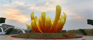 開封：喜迎菊花文化節 菊花造型景觀初現芳容