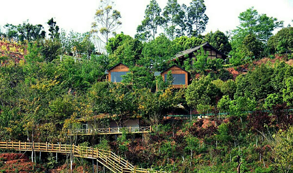 成都金堂荣获2019年“全国森林康养基地试点县”称号