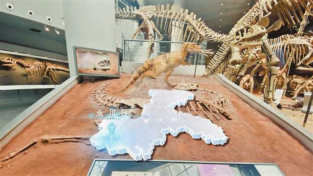AR技术“复活”60余件珍贵化石标本 重庆自然博物馆将再现重庆恐龙故事及非洲动物大迁徙场景