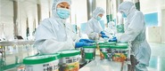 開封市通許縣擦亮“中國酸辣粉之都”金字招牌