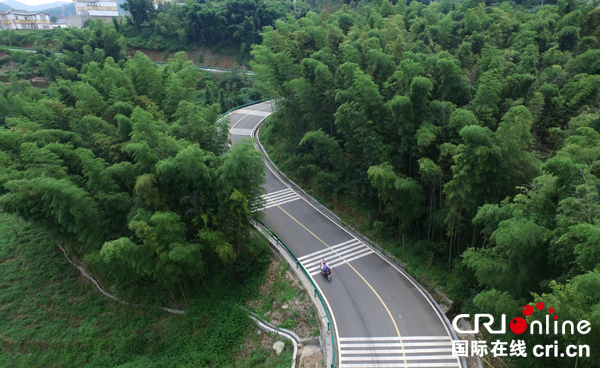 图片默认标题_fororder_公路沿线的竹景观（申勇-摄）