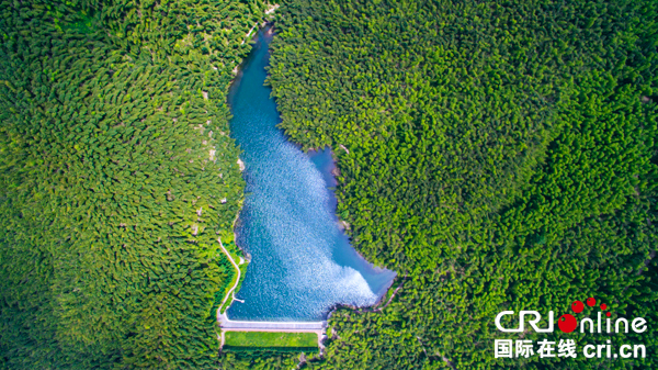 图片默认标题_fororder_僰王山景区-翠竹林中的寿山湖（兴文县委宣传部供图）