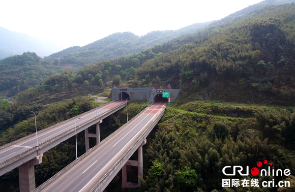 图片默认标题_fororder_宜叙高速公路（兴文段）两侧竹景观（张举杭-摄）