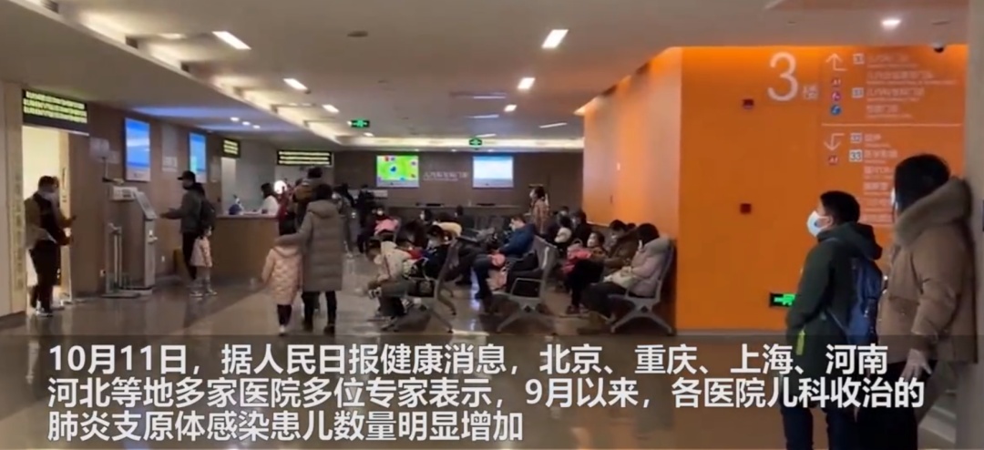 上热搜的“支原体肺炎”,究竟是啥?