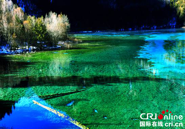 图片默认标题_fororder_九寨风光