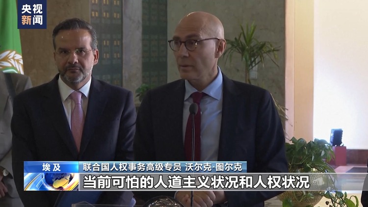 阿盟秘书长会见联合国人权高专 双方呼吁尽快结束加沙地带人道主义灾难