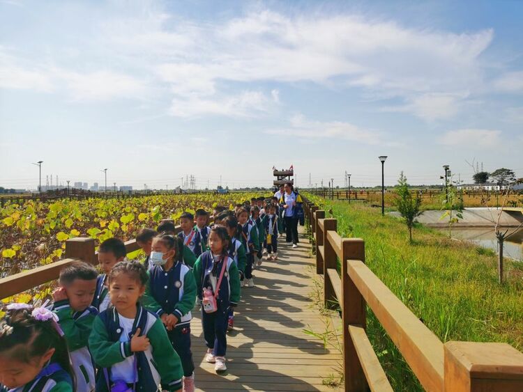 和美乡村变迁记|“稻米之乡”展新颜