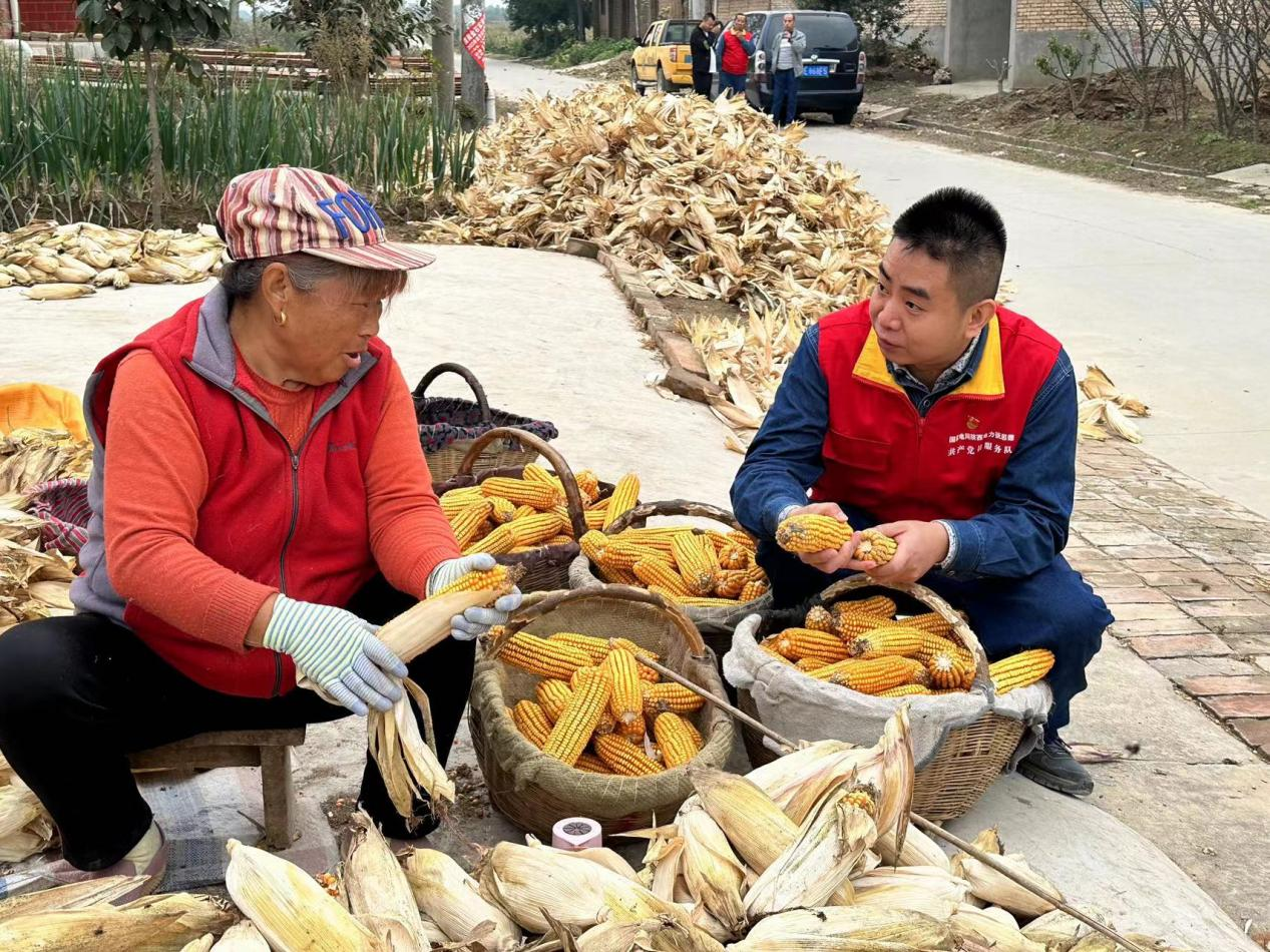 国网渭南供电公司:满格电力奏响秋粮丰收曲_fororder_图片1