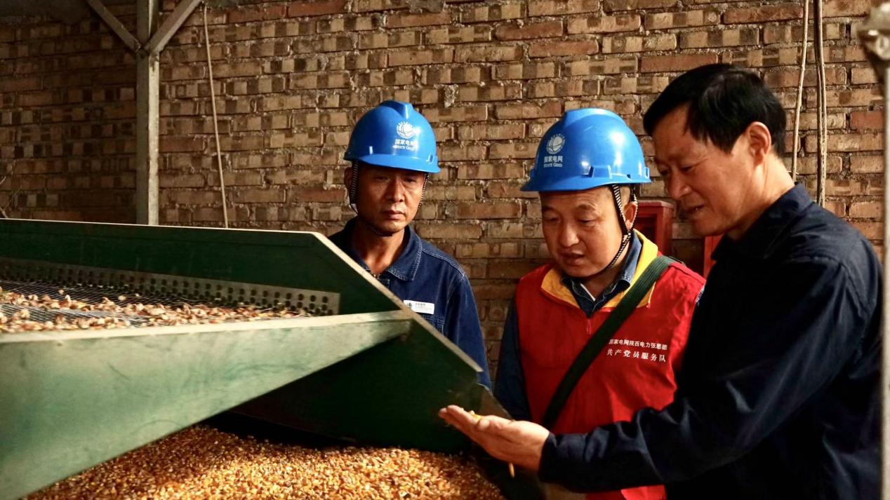 国网渭南供电公司:满格电力奏响秋粮丰收曲_fororder_图片2