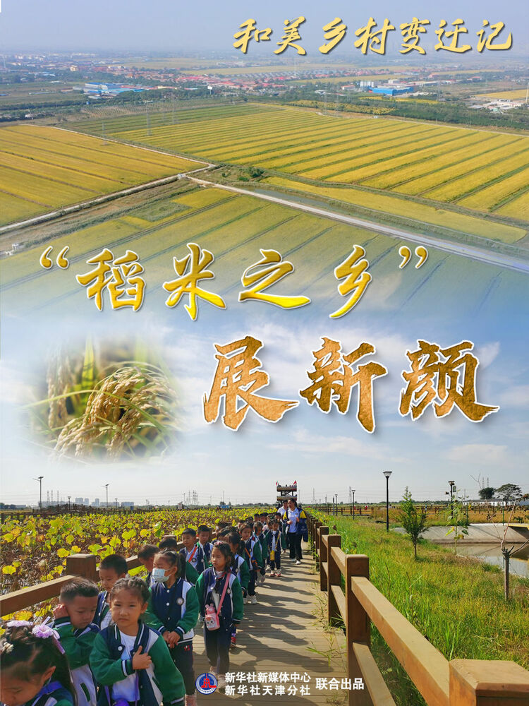 和美乡村变迁记|“稻米之乡”展新颜