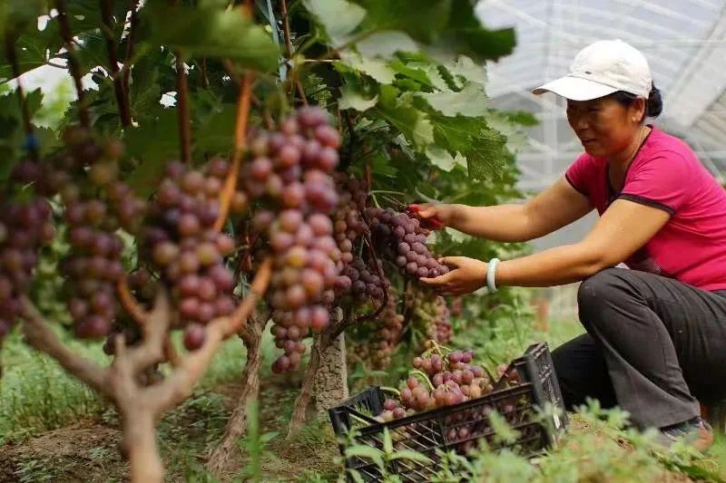 以河为媒:天津推进“十项行动” 创造高品质生活 以河为媒:天津推进“十项行动” 创造高品质生活_fororder_2222