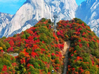 陝西省渭南市：秋色に濃く染まる山林