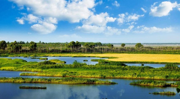 到2025年修复退化湿地10万亩以上 湖北省发布湿地保护规划