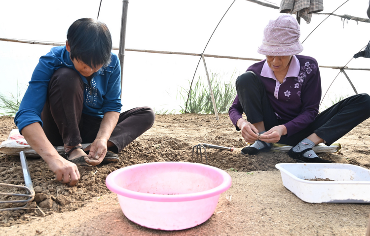 河北盐山:蚂蚱养殖鼓起村民钱袋子_fororder_图片3