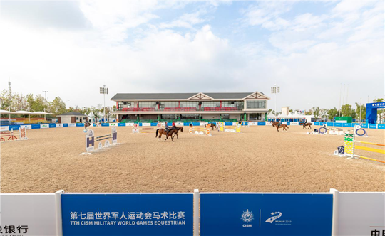军运会最后一批比赛用马从欧洲飞抵武汉