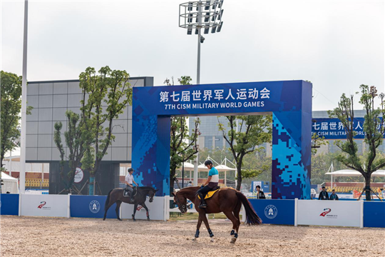 军运会最后一批比赛用马从欧洲飞抵武汉