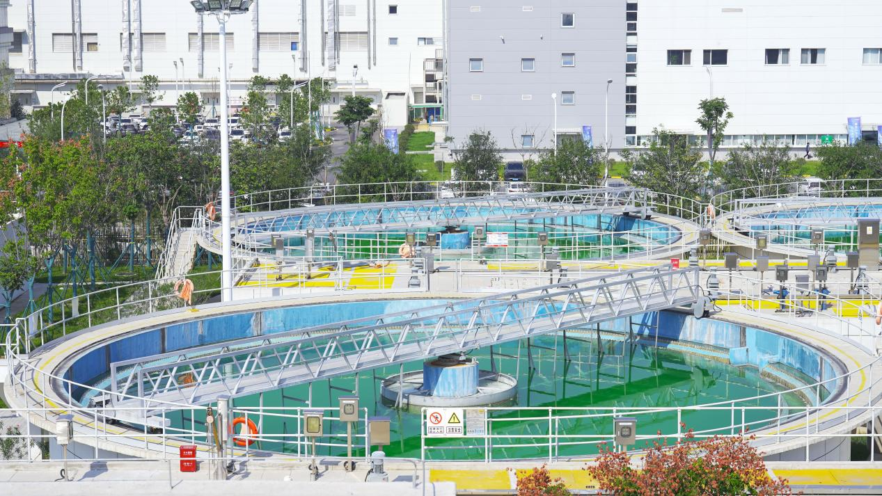 【组图】秋高气爽 带你一探泾河新城天蓝水清背后的环保力量_fororder_图片9