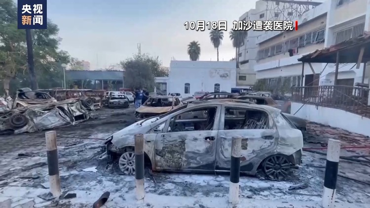 本轮巴以冲突已致双方超4900人死亡 加沙地带超1300名儿童在冲突中死亡