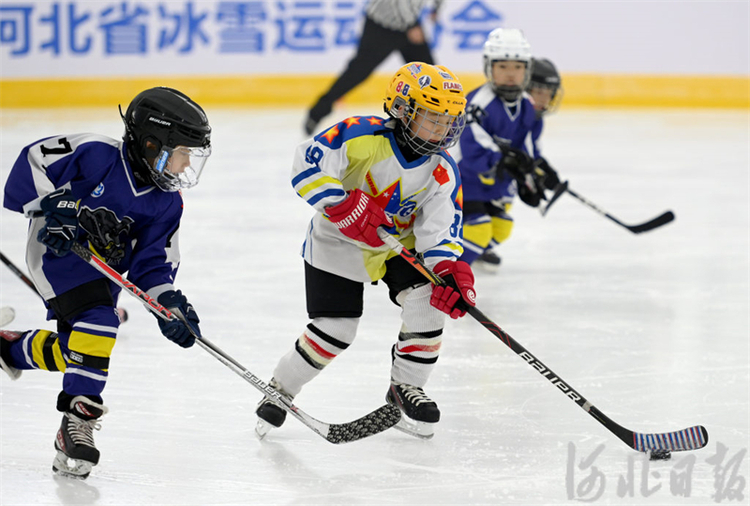 2023年河北省大众冰雪联赛冰球比赛开赛