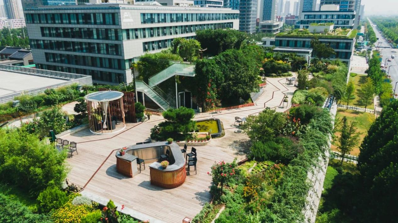 沣西新城:屋顶花园扮靓城市天际线_fororder_图片3