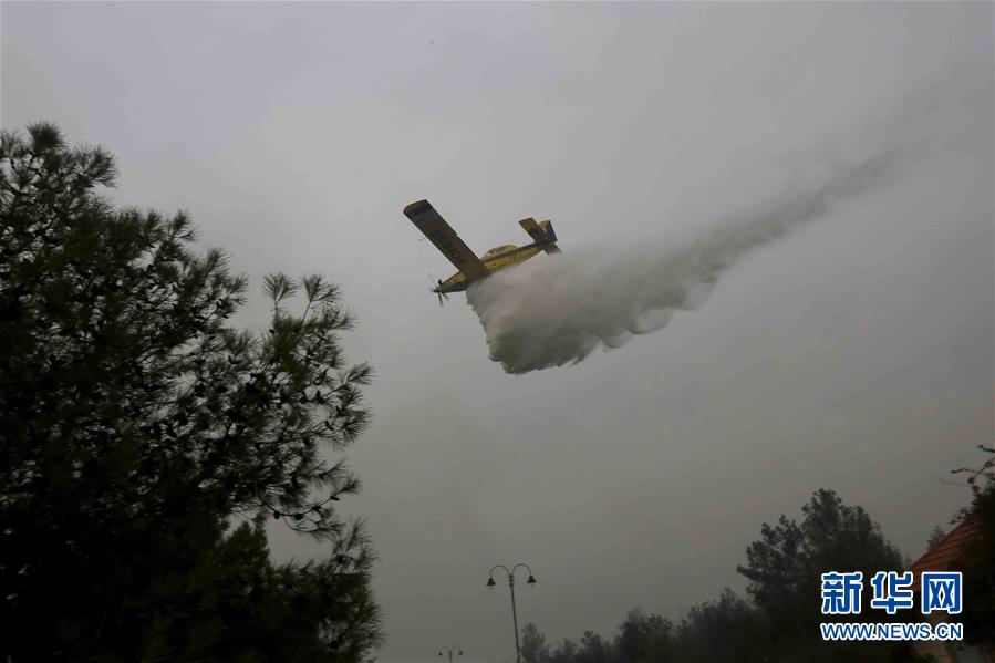 #新华网#黎巴嫩突发山林大火