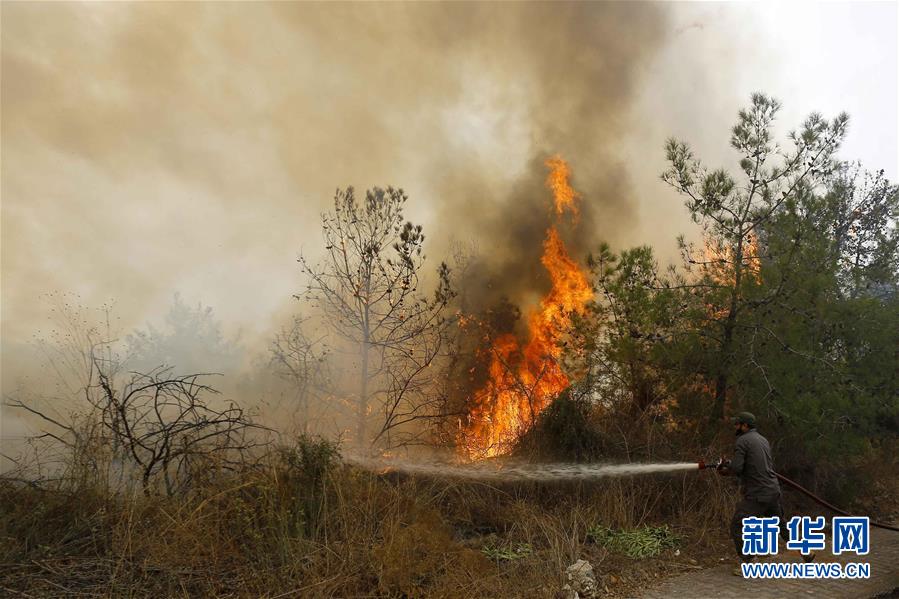 #新华网#黎巴嫩突发山林大火