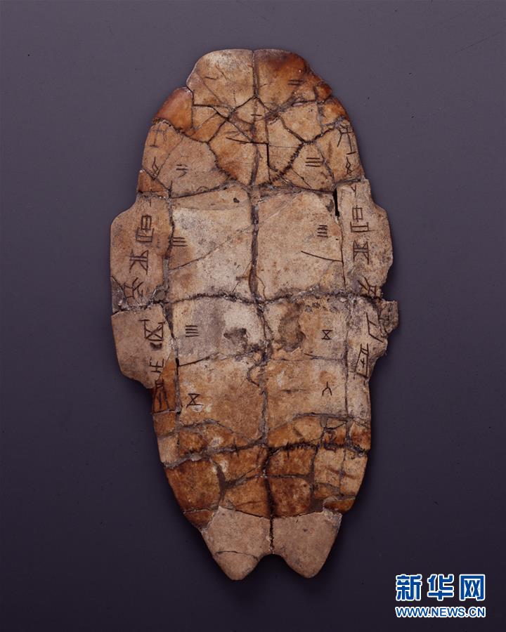 「新华网」国博将首次大规模展示馆藏甲骨(组图)