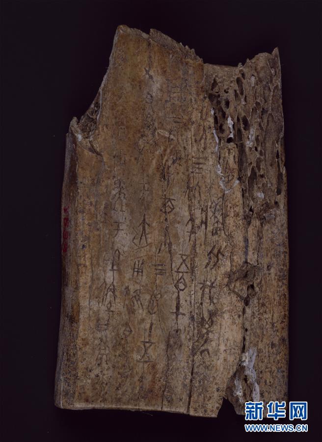 「新华网」国博将首次大规模展示馆藏甲骨(组图)