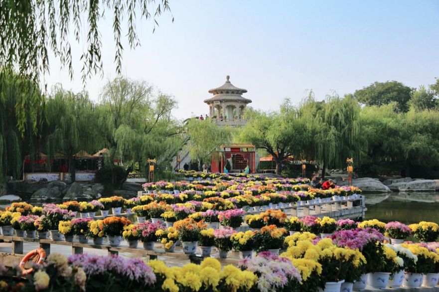 9th Hanyuan Chrysanthemum Arrangement Exhibition Kicked off in Kaifeng, China_fororder_23