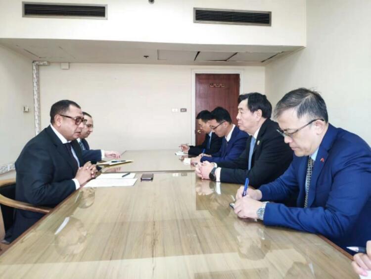 中国政府中东问题特使翟隽访问埃及