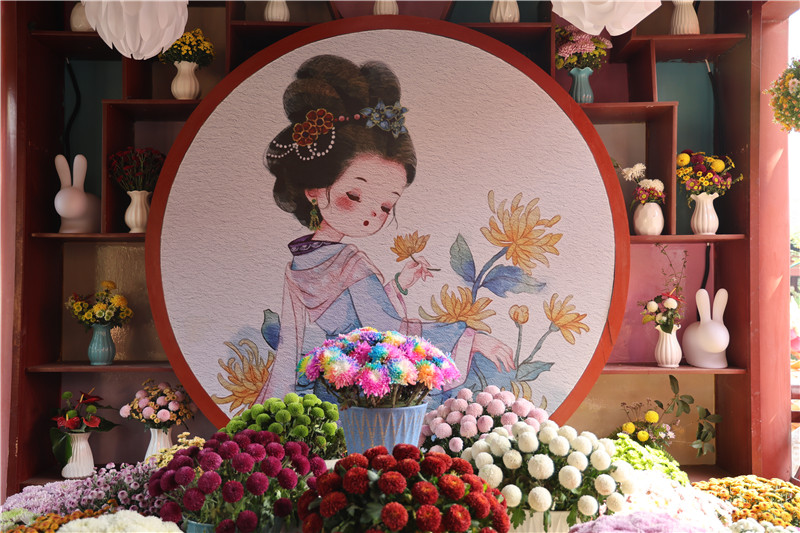 3.2 Million Pots of Chrysanthemums Adorn Kaifeng, Henan_fororder_11