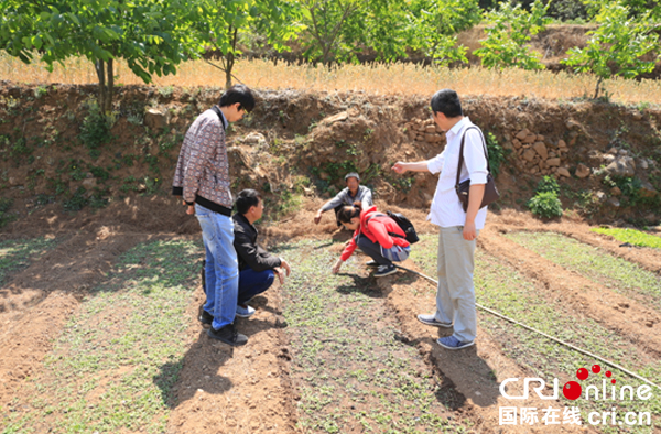 图片默认标题_fororder_种植现场指导（攀枝花市农林研究院供图）