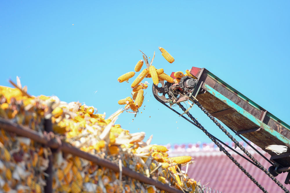 黑龙江:力保收成 科技助力