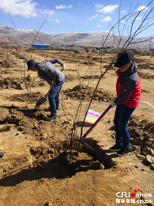 图片默认标题_fororder_植树活动现场