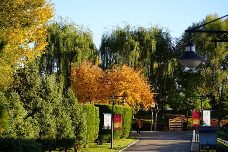 准格尔旗:口袋公园“扮靓”方寸之美 “兜起”民生微幸福_fororder_图片2