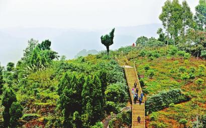 （焦点图，导航成都，移动端）一起来走路吧 上百万人次打卡这条登山健身步道