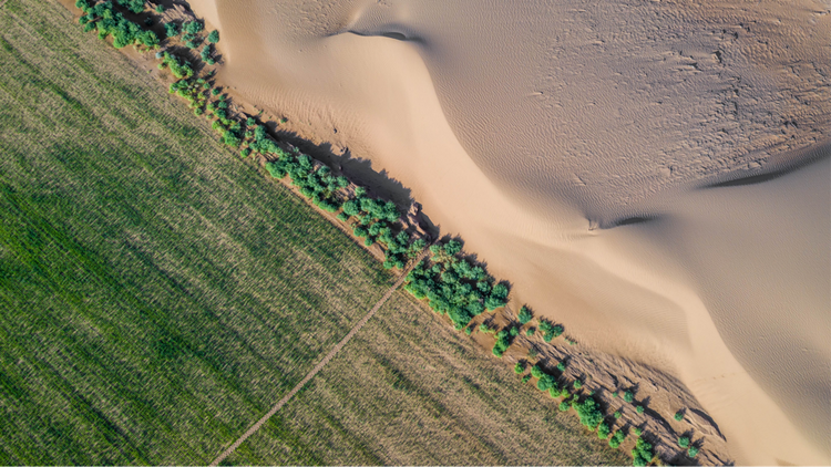 COP28 | 在这场联合国会议上 蒙牛给出实现全球碳中和的三大妙招 COP28 | 在这场联合国会议上 蒙牛给出实现全球碳中和的三大妙招_fororder_蒙牛草