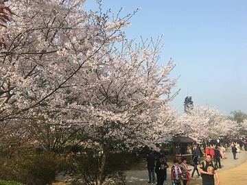 2018年4月11日放送のお便り紹介