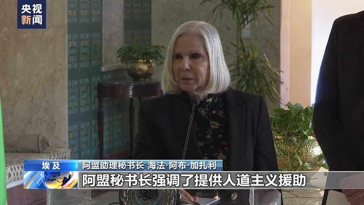 阿盟秘书长会见联合国人权高专 双方呼吁尽快结束加沙地带人道主义灾难