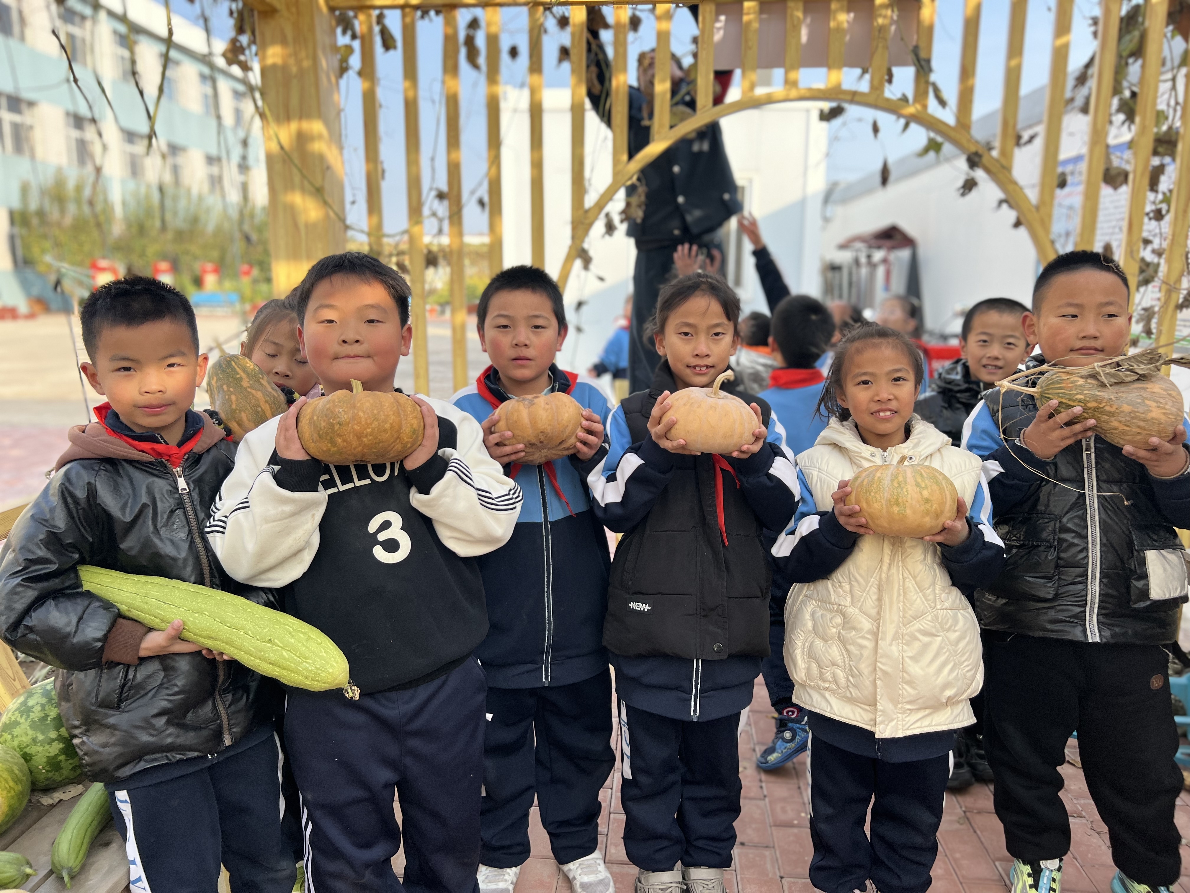唐山路北:课间十分 十分精彩_fororder_路北区娘娘庙小学学生课间在采摘园收获南瓜。张丽芝 摄