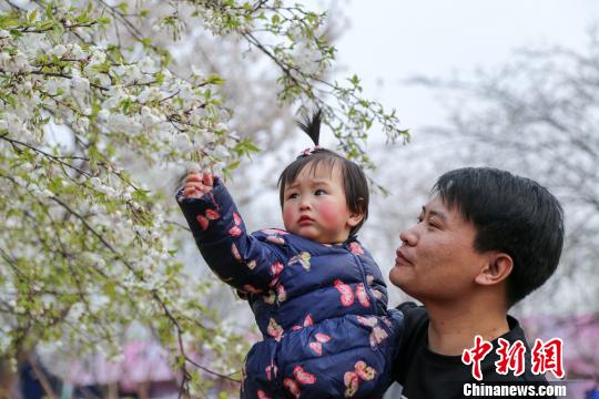 图片默认标题_fororder_yinghua-2